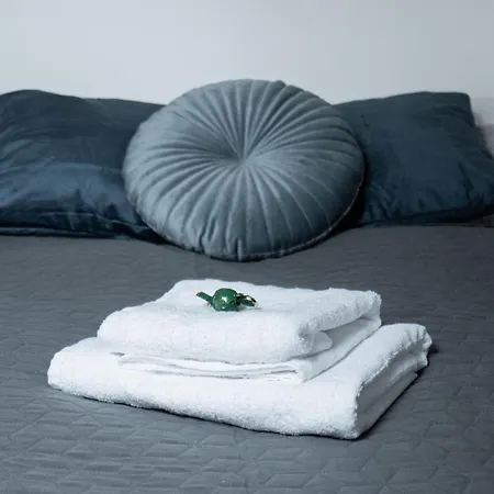 Old Town Center 3 Apartment *